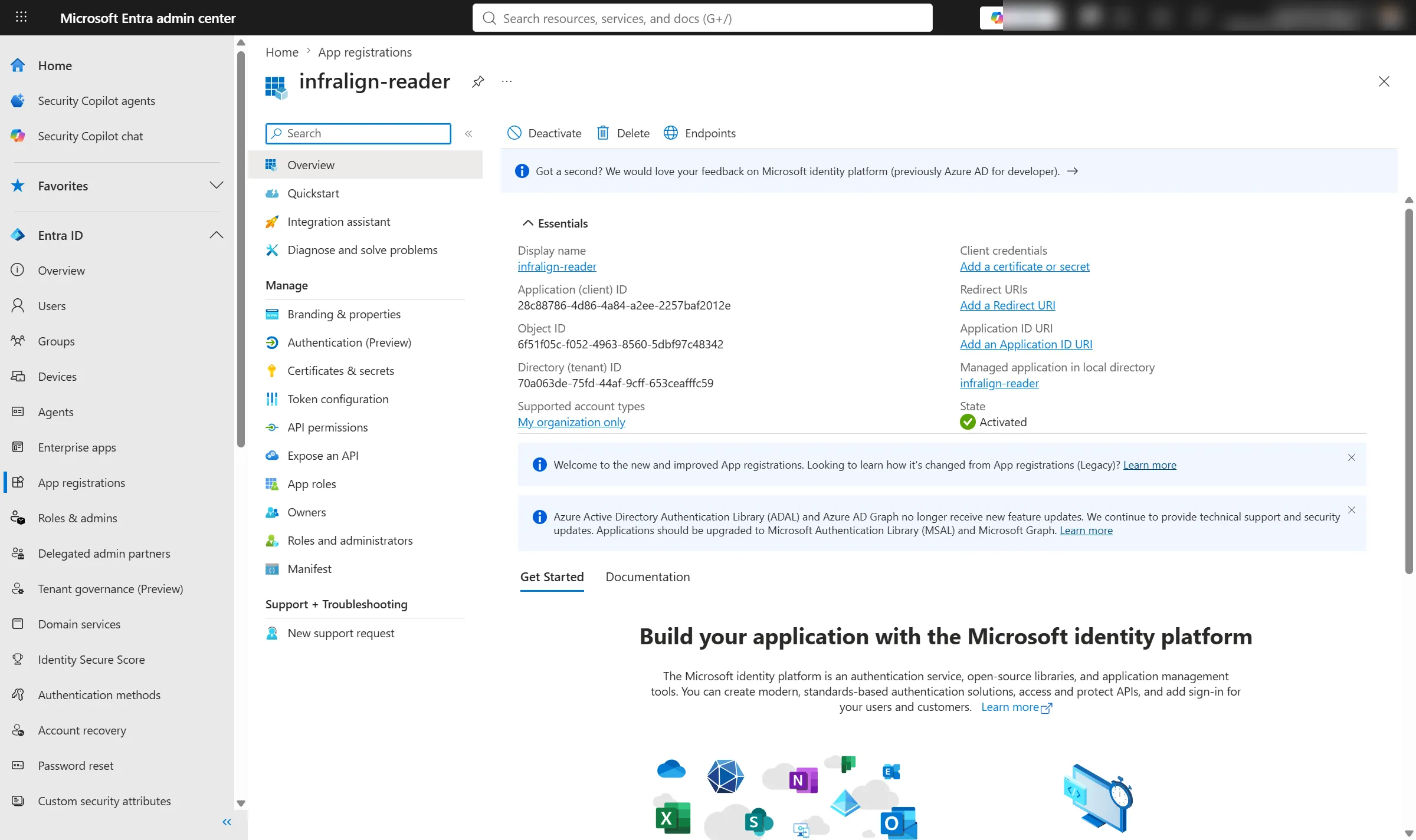 App overview blade showing the Application (client) ID and Directory (tenant) ID fields to record